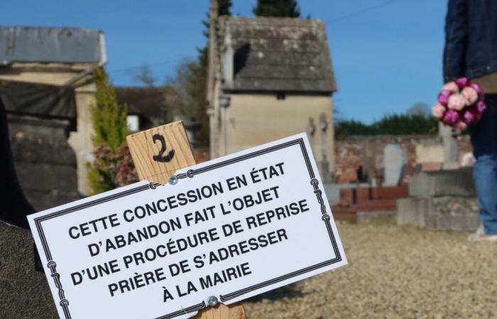 Beaune – From Paul Watson to heritage burials: the preliminary subjects of the municipal council