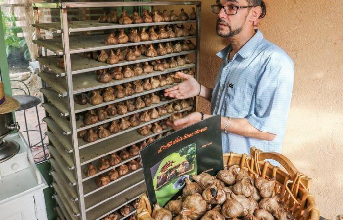 He gave up pizza to make his own black garlic near Perpignan