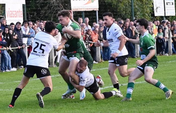 Rugby, Federal 2: sharing of points during the Vergt – Bergerac derby in Dordogne