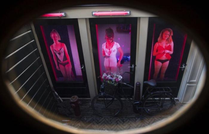 Netherlands: can a hologram help solve a murder?