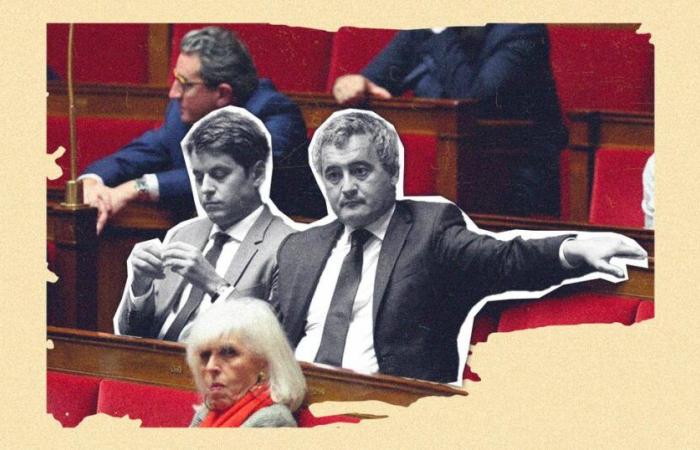 in the National Assembly, the “gigantic spleen” of the Macronists