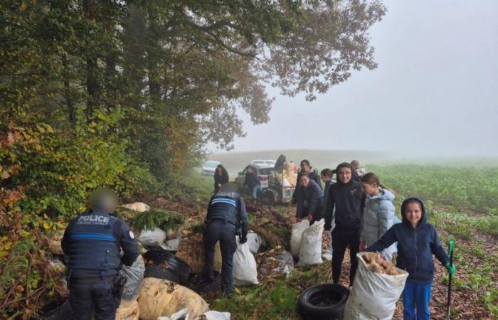 young people collect waste from an illegal dump in Laboissière-en-Thelle, south of Beauvais