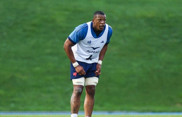 XV of France – Thibaud Flament well in the group, Cameron Woki replaces Théo Attissogbe to prepare New Zealand