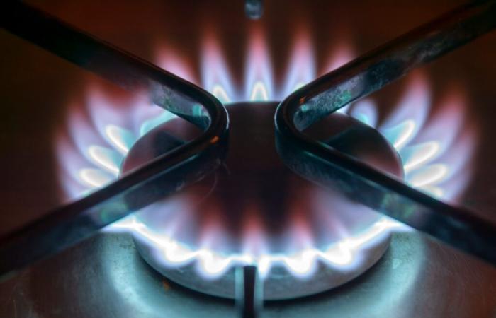 Gas stoves are responsible for 36,000 premature deaths each year in Europe, according to a study