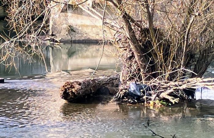 a free diagnosis to limit the consequences of flooding