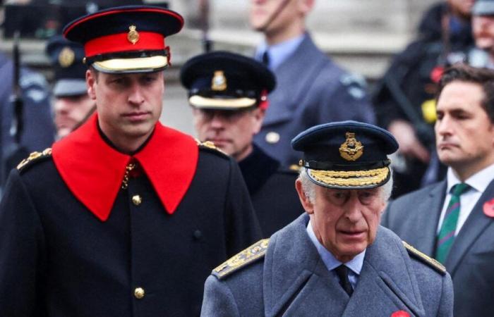 Charles III and William accused of “defrauding the public” after an investigation into their assets