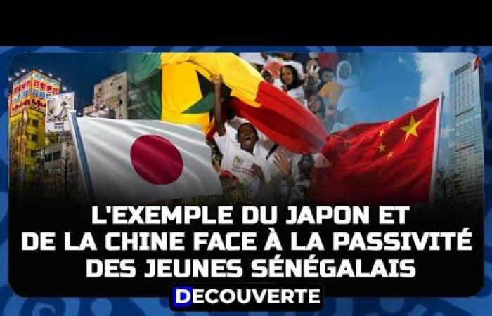 DISCOVERY N°23 – Urgent awakening: The example of Japan and China in the face of the passivity of young Senegalese