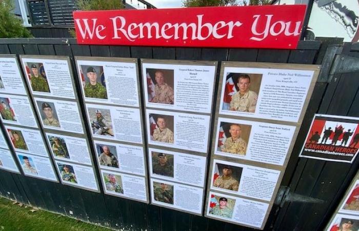 Saskatchewan woman decorates her lawn for Remembrance Day