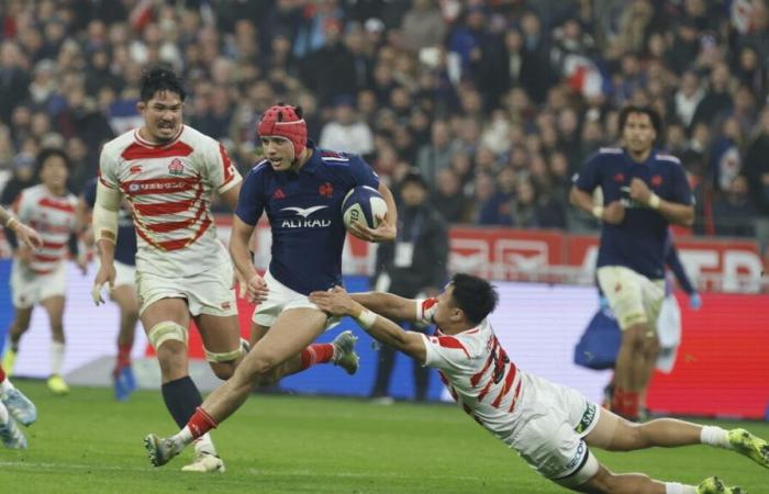 TV audiences: 4.5 million viewers watching the France-Japan rugby match on TF 1