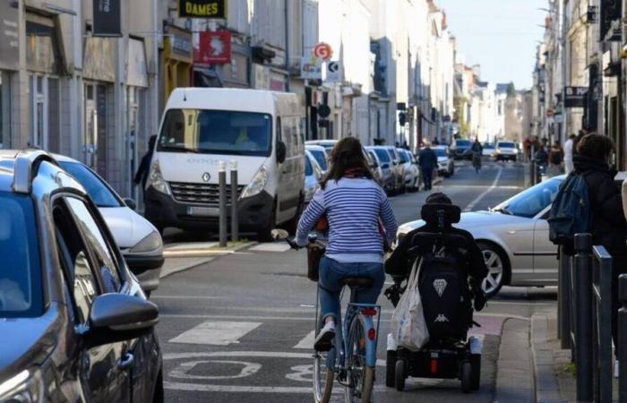 Should we ban roads from cars?