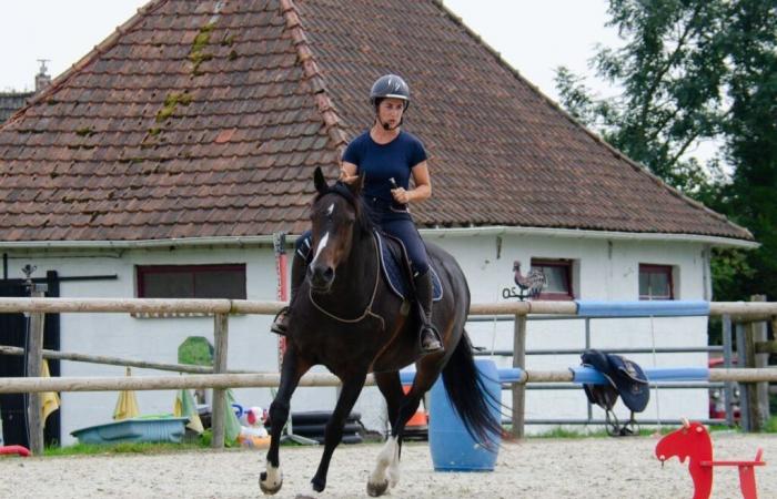 Estelle “whispers” in the ears of the horses in her new equestrian center