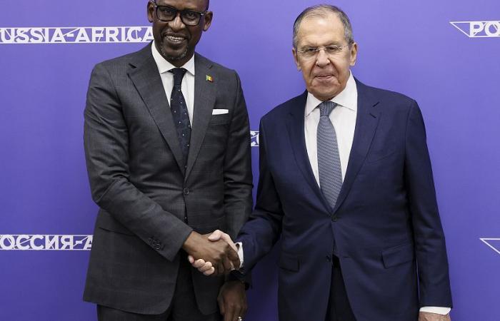 Sergei Lavrov welcomes cooperation between Russia and Africa