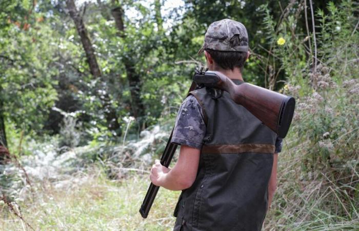 A competition horse shot by hunters on private property