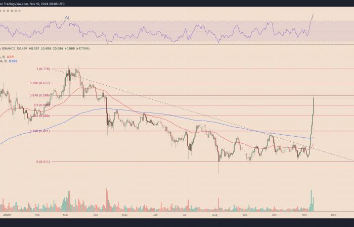 ADA price pumps 30% amid rumors of Cardano founder-Trump collaboration