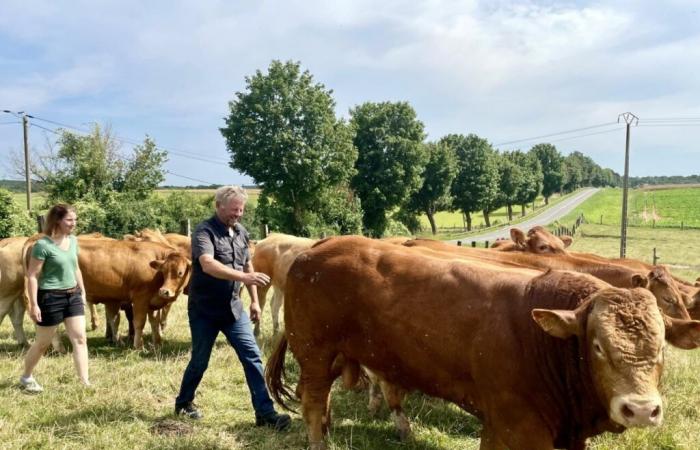 The Ferme de l'Arche, one of the last cattle farms in Val-d'Oise