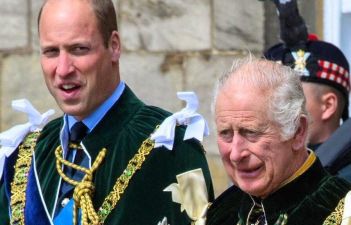 Charles and William criticized after an investigation into their assets