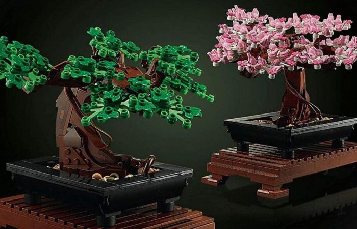 Legos are also benefiting from Black Friday: our selection of 4 superb sets on sale