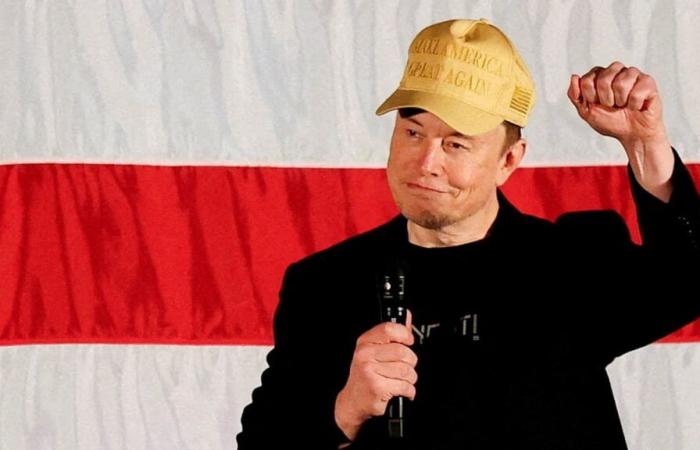 After attack against Scholz: Elon Musk also calls Habeck “fool” | policy