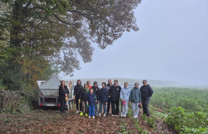 young people collect waste from an illegal dump in Laboissière-en-Thelle, south of Beauvais