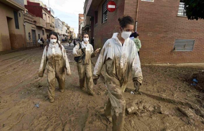 in Valencia, after the chaos of the floods, the fear of diseases