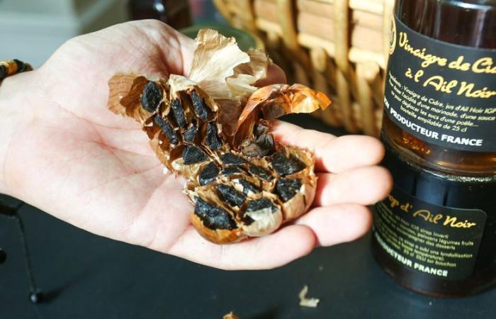 He gave up pizza to make his own black garlic near Perpignan