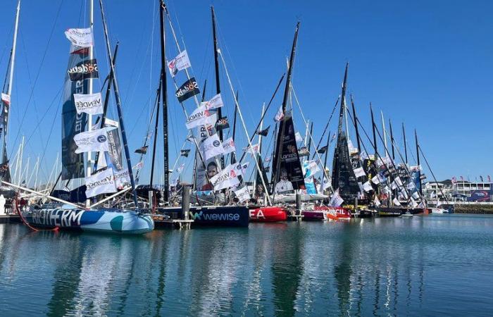 Vendée Globe: “crazy”, “magical”, “best day of my life”, the last words of the sailors at the start