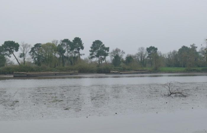 we must save these concrete barges, a unique river heritage in France