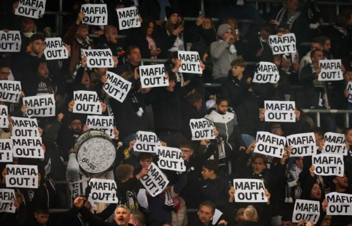 ‘It’s become a bit of a trend…’: the view of the management of Sporting de Charleroi on the anger of the supporters