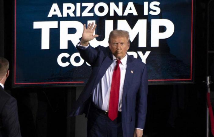 Donald Trump captures Arizona, the last key state, and reaches 312 voters