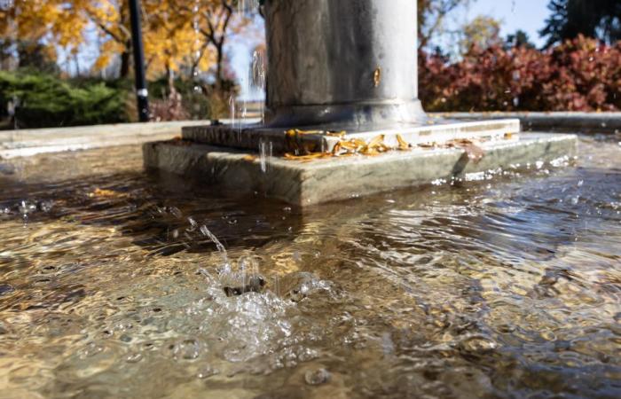 Fluoridation in the sights of Trump… and Montreal