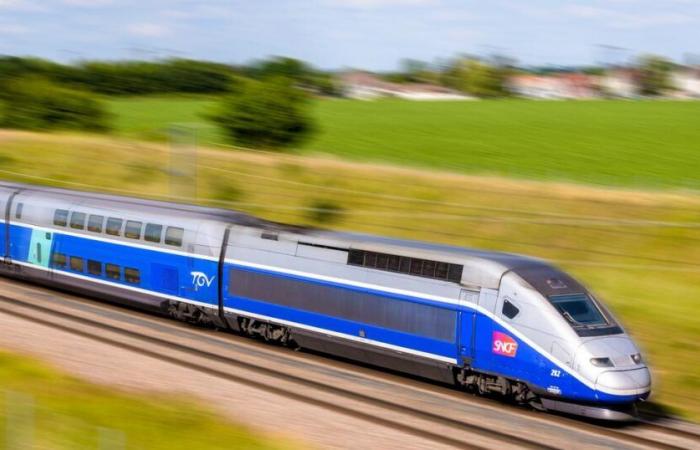 In Lyon, the new “heart of the reactor” of the Paris-Lyon TGV line is being put in place