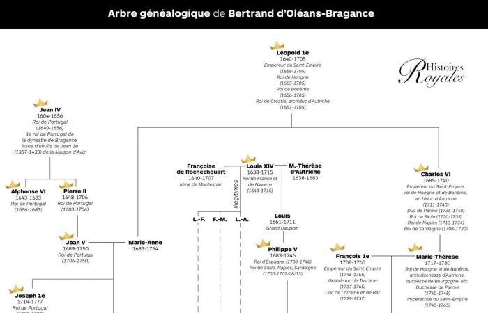 The Imperial Family of Brazil at the funeral of Prince Antônio of Orléans-Braganza