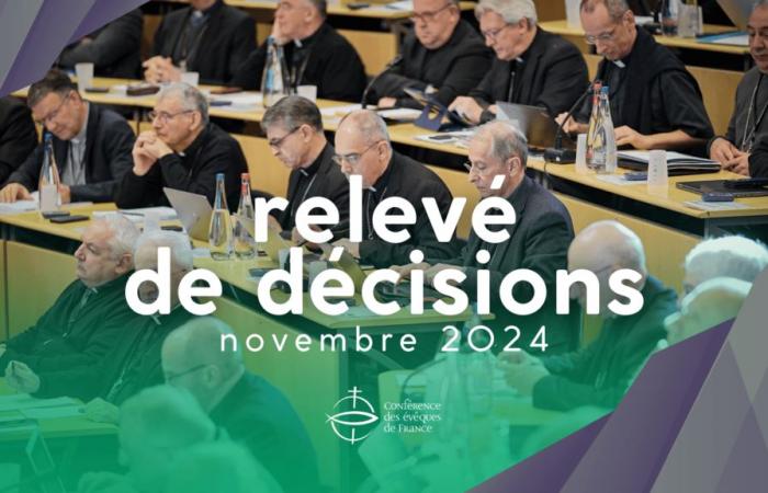 Votes of the bishops of France in the Plenary Assembly of November 2024