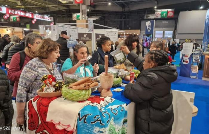 Mayotte participates in the 12th edition of the MIF (Made In France) show in Paris