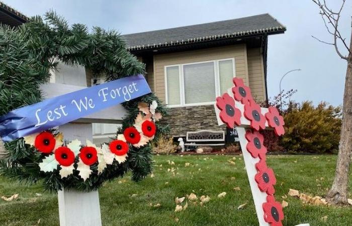 Saskatchewan woman decorates her lawn for Remembrance Day