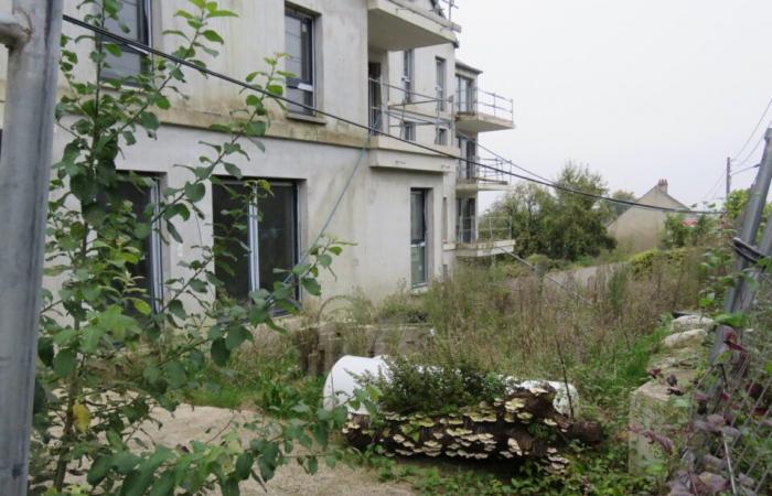 in Seine-et-Marne the buyers of this unfinished building are mobilizing