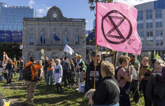 New march for the climate in the streets of Brussels this Sunday