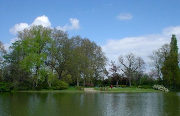 after refusing to comply, a car ends up in Lake Daumesnil