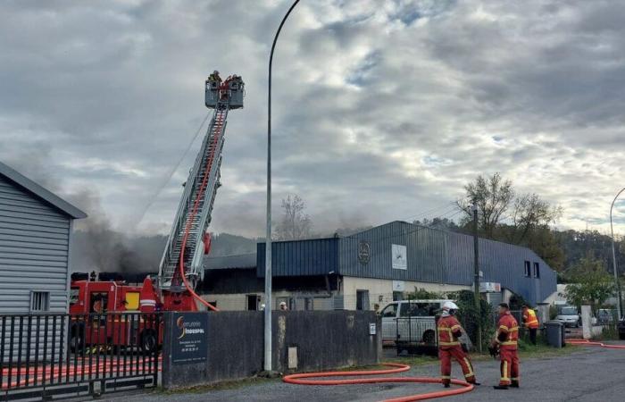 Lons: “we just cry”, confectioners dejected after the fire which destroyed their warehouse