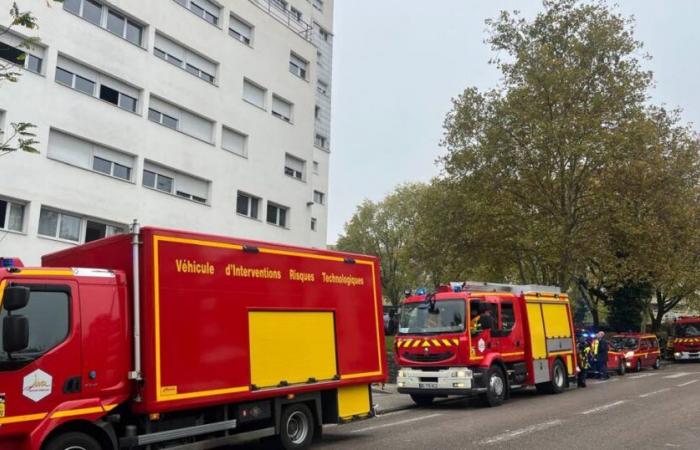 Swore. A strong smell of gas spreads throughout an entire street: 17 firefighters intervene