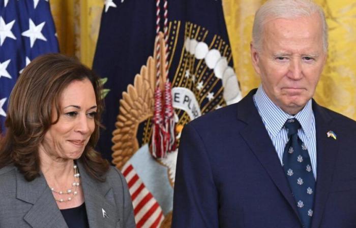 why Kamala Harris lost 10 million votes to Joe Biden in 2020