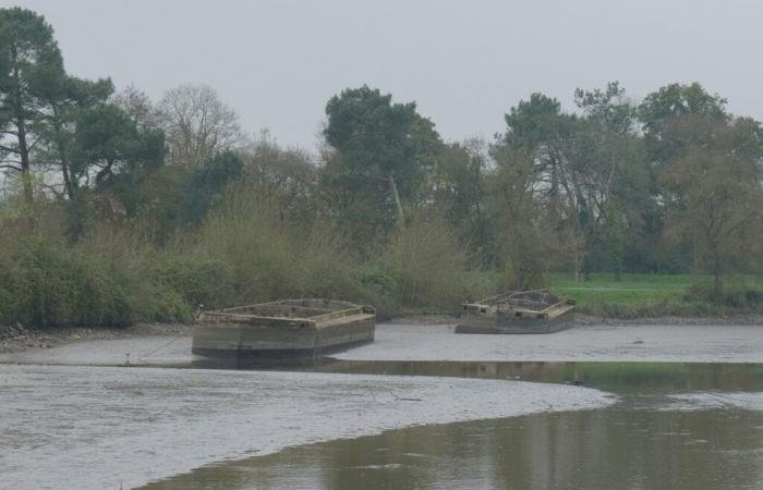 we must save these concrete barges, a unique river heritage in France