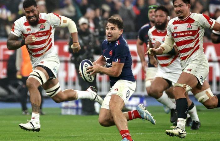 XV of France: “Threat”, of the All Blacks “at the top of their rugby”… Antoine Dupont and the Blues expect a huge shock against New Zealand