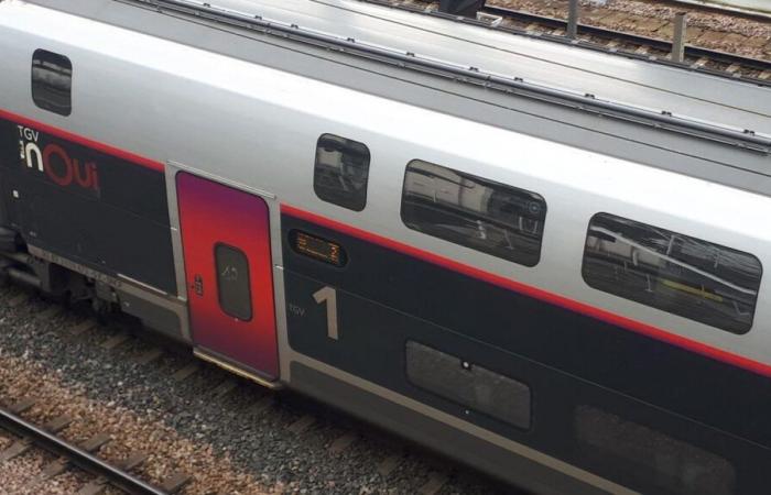 A pedestrian dies after being hit by a train on the LGV between Besançon and Belfort