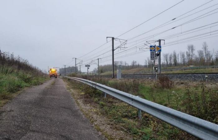 Haute-Saône. A person dies after being hit by a train between Besançon and Belfort