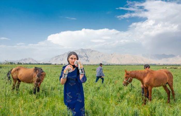 Iran: Portraits of resistance fighters