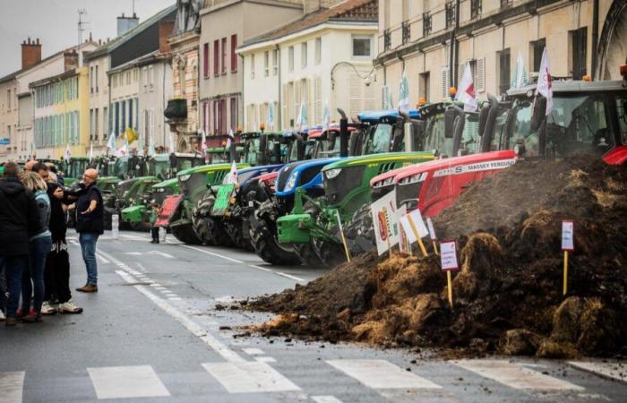 farmers from Marne and Ardennes call for demonstrations from November 17 to 19