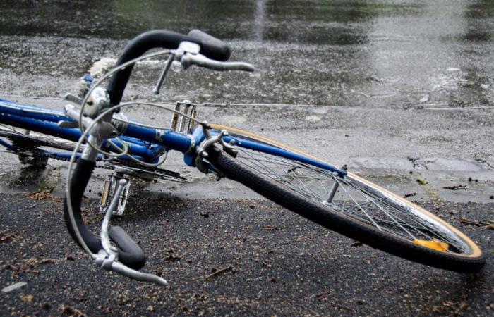 The Man in Blue, emblematic cyclist of Limoges, died when hit by a motorist