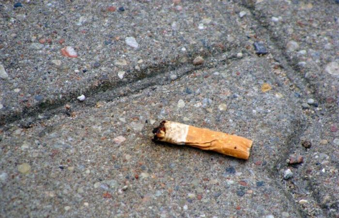 In this town in Val-d'Oise, war is declared on cigarette butts