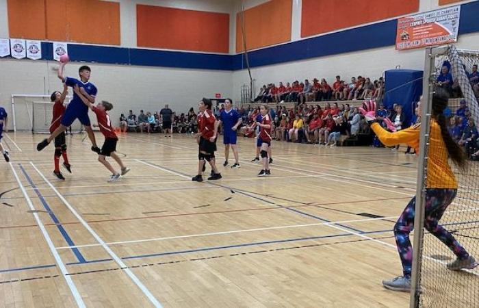 To develop their sport, handball fans are taking matters into their own hands in Acadia